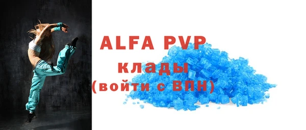 шишки Богородицк