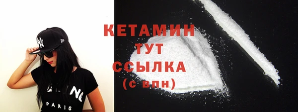 шишки Богородицк