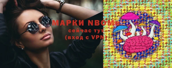 бошки Белокуриха