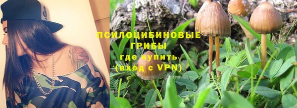 прущая мука Баксан