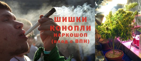 шишки Богородицк