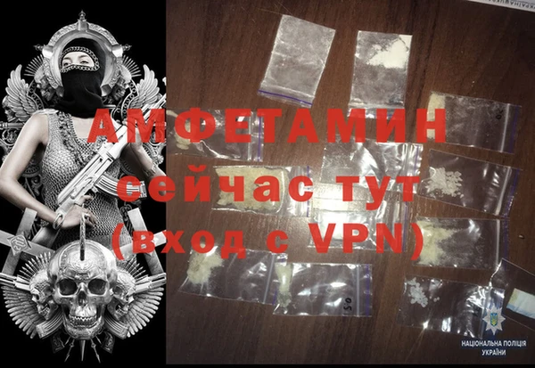 шишки Богородицк